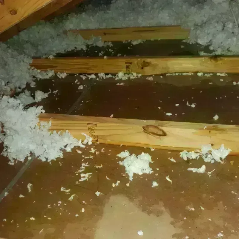 Attic Water Damage in Mineral Ridge, OH