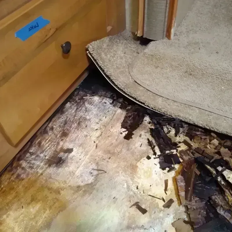 Best Wood Floor Water Damage Service in Mineral Ridge, OH